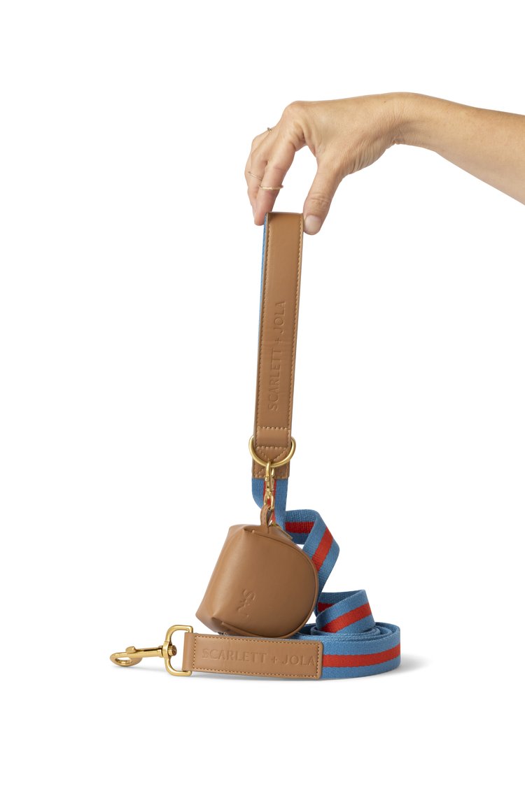 Luxury Dog Gift Box - Blue and Red